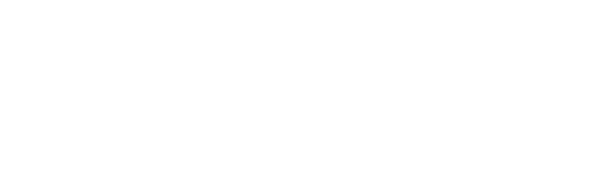 Logo_Salesini_2021ai