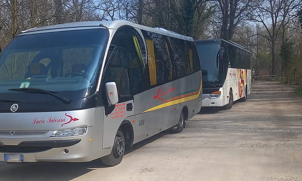 noleggio-pullman-per-gite-scolastiche-a-pavia